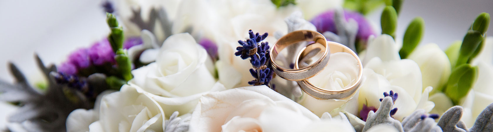 当相談所について